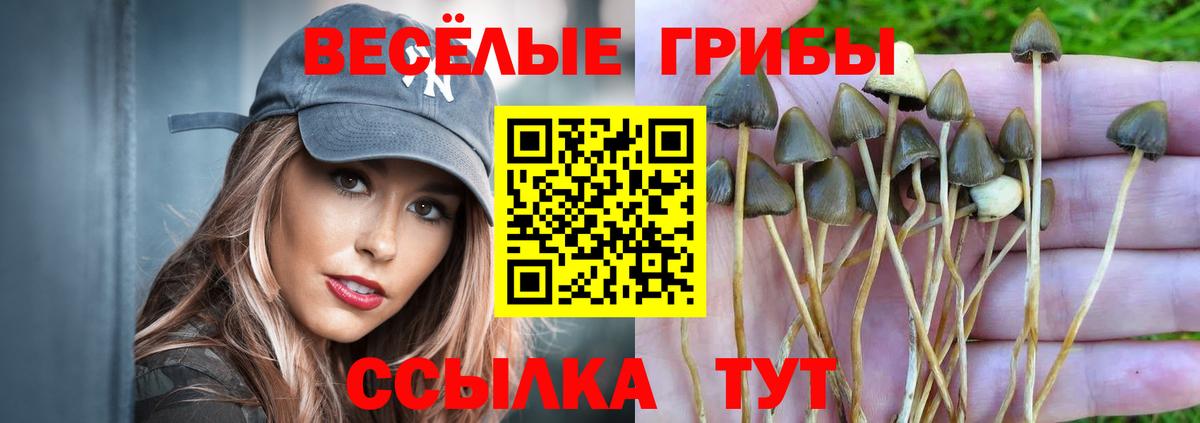 Галлюциногенные грибы MAGIC MUSHROOMS Электрогорск