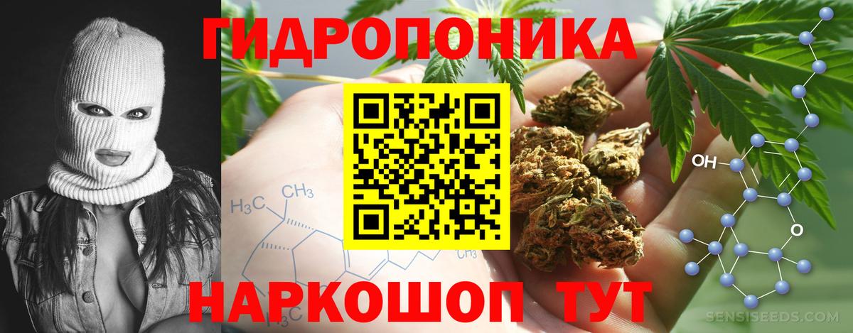 Бошки Шишки White Widow Электрогорск